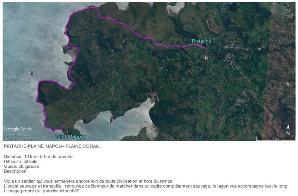 Pistache - Plaine Mapou - Plaine Corail